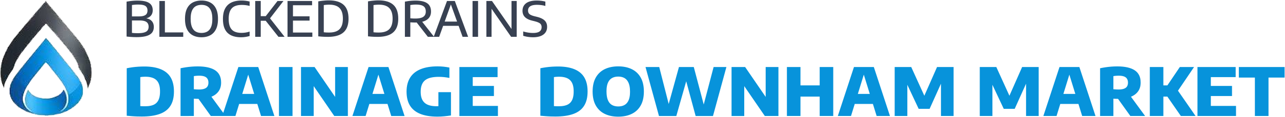 website logo
